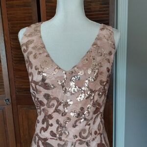City Triangles Pink Lace Rose Gold Sequin Mermaid Gown Sz 18W
